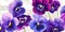 Dance of Pansies Poster Print by Jenny Thomlinson - Item # VARPDX2JT2531